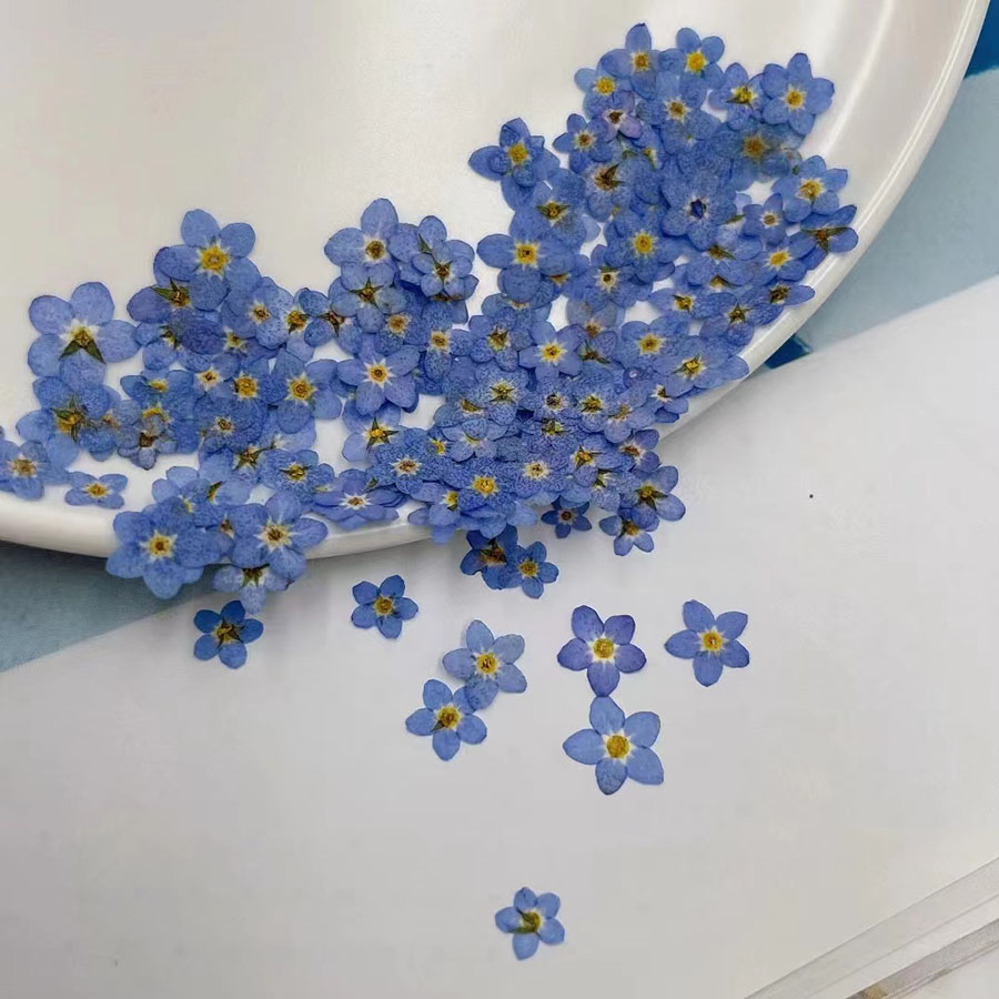 60個入り ミニ押し花 - 写真立て、レジンジュエリー、スマ - Resin Art Baby のレビューと価格