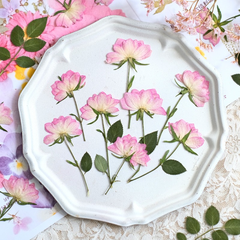 12個入り、本物の乾燥圧縮花、携帯電話ケースDIY用、ピンク - Resin Art Baby のレビューと価格
